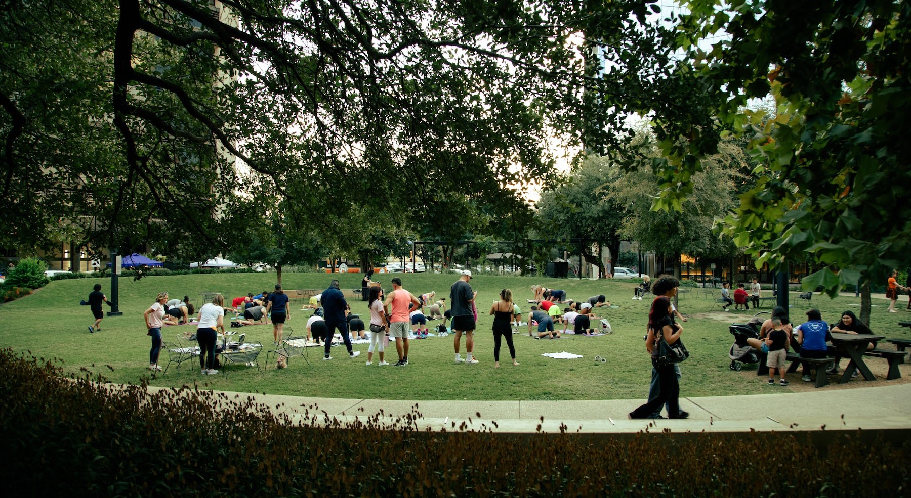 park full of people